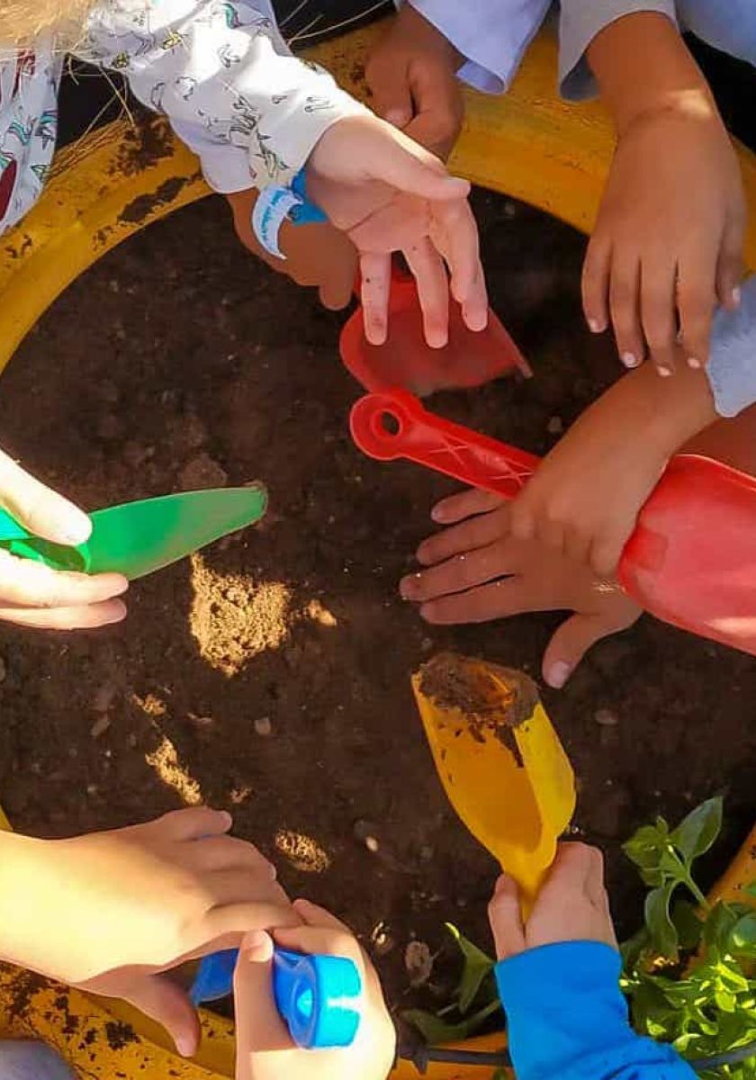 Innovación Educativa